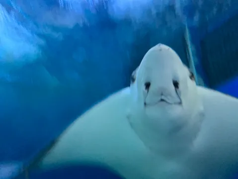 吸い込まれそうな青の世界