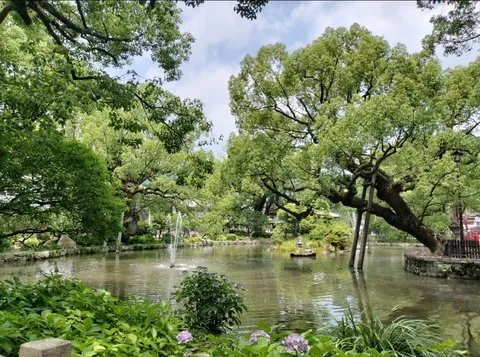 緑と水のささやき