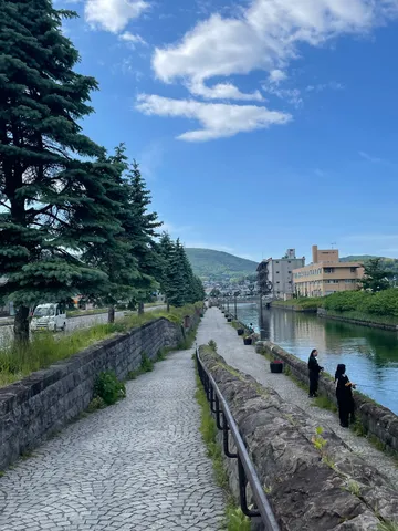 緑と水辺の静かな散策路