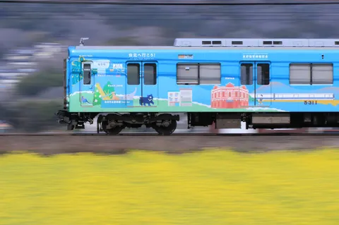 彩り列車、菜の花畑を往く