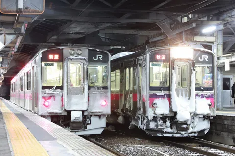 雪をまとった夜の列車たち