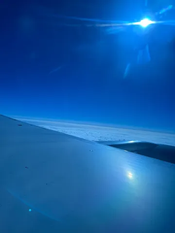 青空と翼に映る光