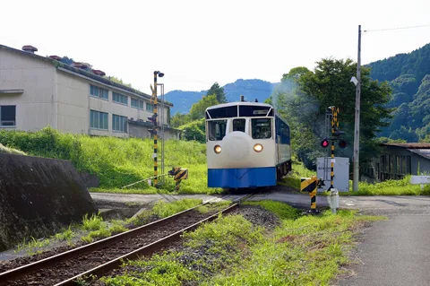 ノスタルジーを運ぶ、青と白の列車