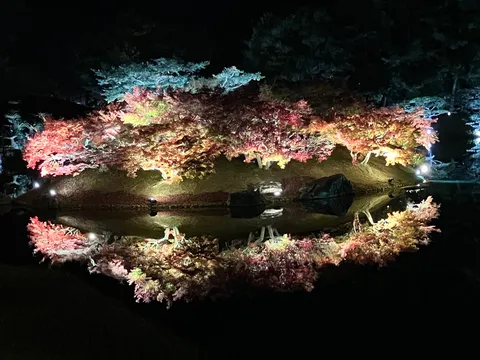 水面に映える、夜の彩り