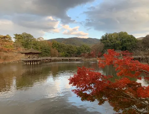 秋色の池に映る、静寂の景
