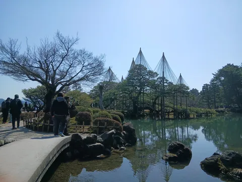水面に映る静寂の庭園