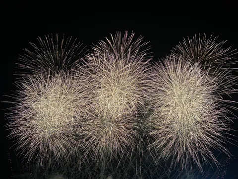 夜空を彩る壮大な花火の饗宴
