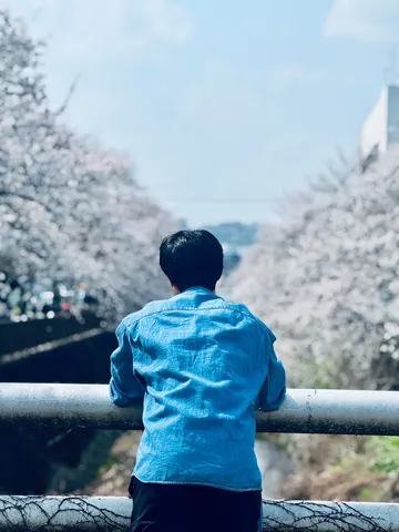 桜と友