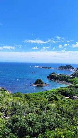 山から見た海