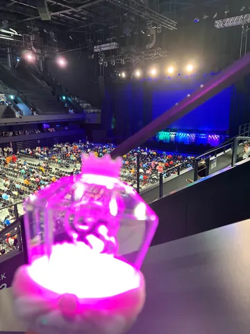 ペンライトの光と会場の熱気