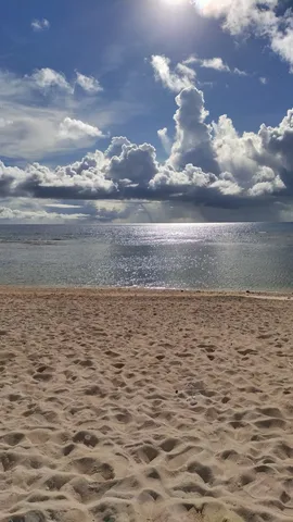 砂浜と海、光のコントラスト