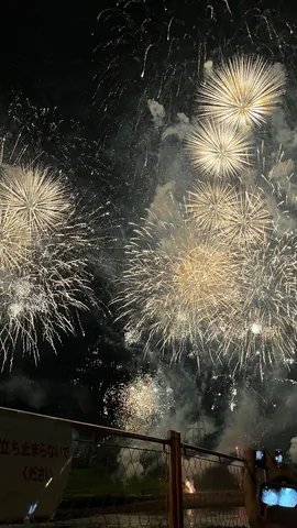 夜空に咲く、光の花火