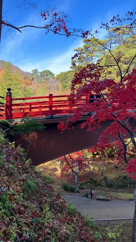 紅葉を渡る赤い橋