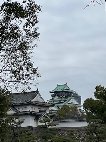 木漏れ日ならぬ、木漏れ城？
