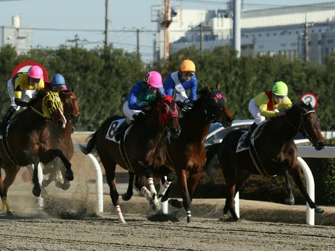 砂煙を上げる競走馬たちの疾走感