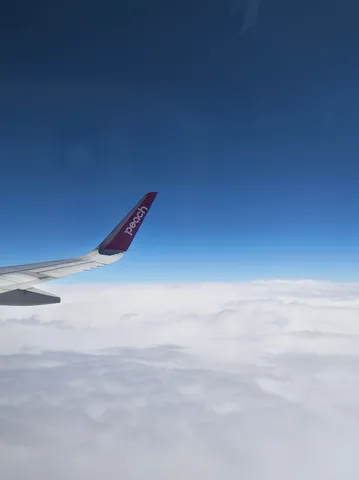 雲海に浮かぶ桃色の翼