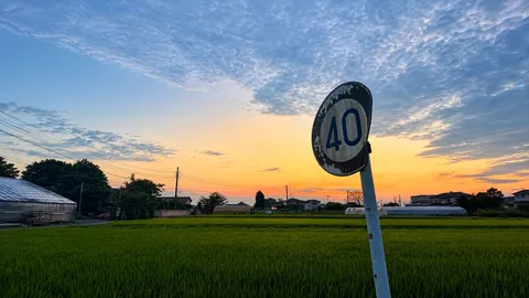 夕暮れの田園と風景標識