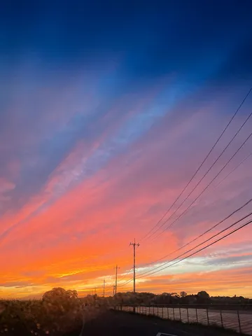 燃えるような空と電線のコントラスト