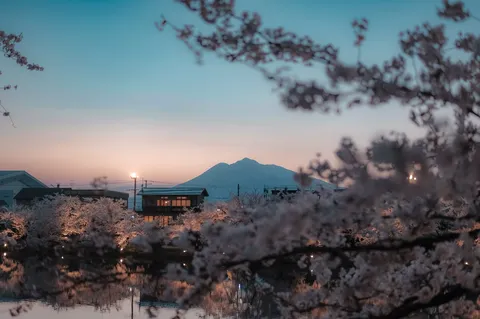 桜越しの山暮れ