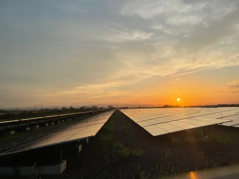 夕陽に整列するパネル群