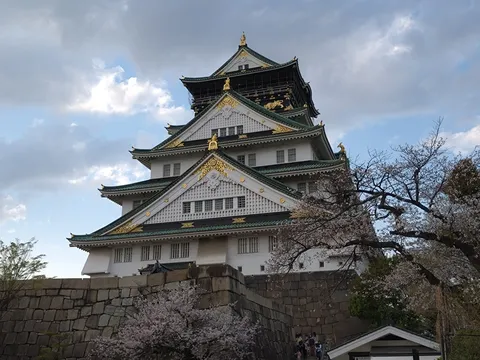 城壁に咲く春の息吹