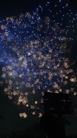 夜空に咲いた光の花束