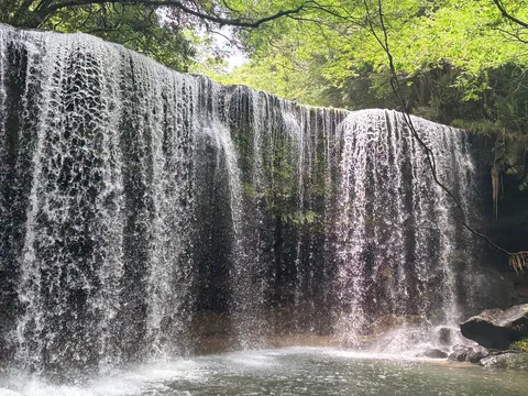 緑の木陰と滝の涼風