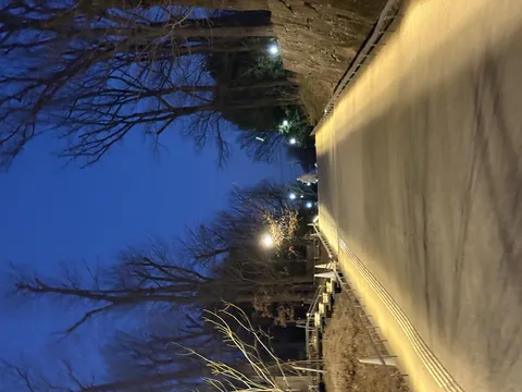 光が紡ぐ道の先に