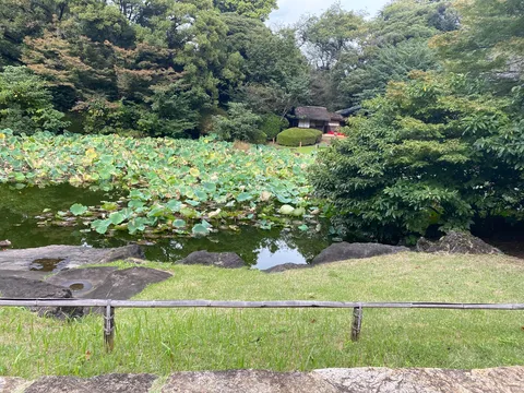 水辺の静かな庭の彩り