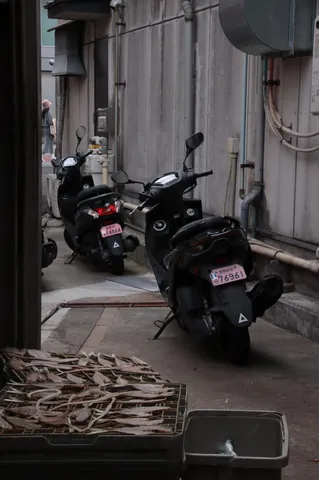 路地に映る静かな物語