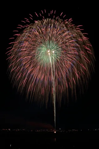 夜空を彩る巨大な花