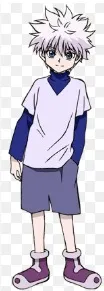 夏の風に揺れる白銀の髪