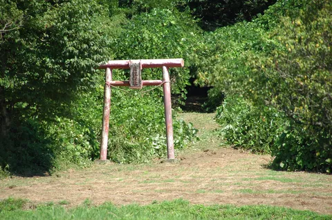 草木に埋もれる朱の鳥居