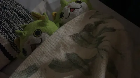 毛布にくるまる緑のぬいぐるみたち