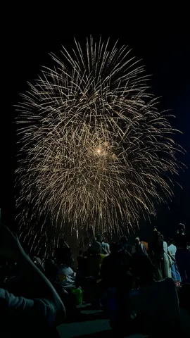 夜空に咲く、黄金の華
