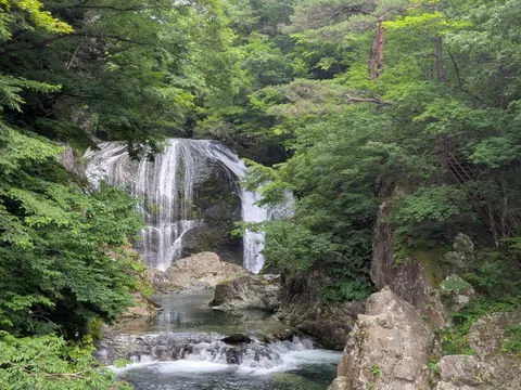 新緑に包まれた滝の風景