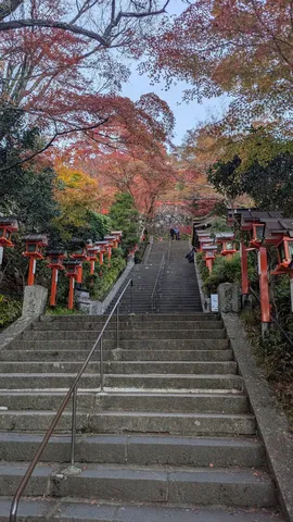 紅葉の参道、灯りに誘われて