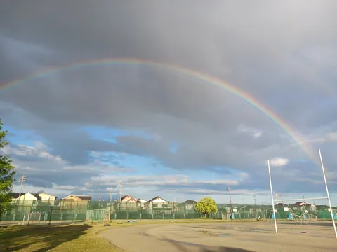 雨上がり、空に架かる希望の橋