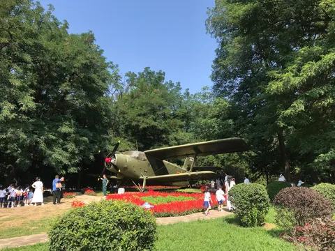 時を超えた緑と空