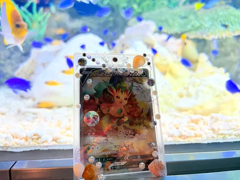 水槽とポケカ、異世界ファンタジー