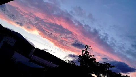夕焼けと電線の戯れ