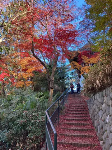 紅葉舞う秋の石段