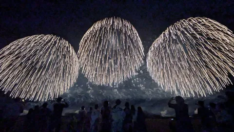 花火の弧が夜を踊る