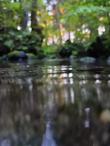 水の揺らぎと、光の夢