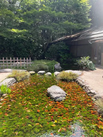 静寂に包まれた苔と石の庭