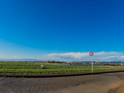青空と広がる畑道
