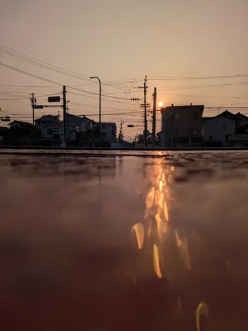 夕暮れの街、水たまりの輝き