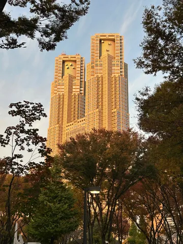 秋の彩りと都会の尖塔