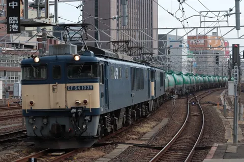 山男の帰還