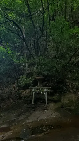 森の奥に鎮座する神秘の鳥居